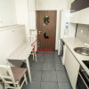 Apartament 2 camere, parcare, Dambu Rotund, Corneliu Coposu thumb 3