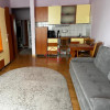 Apartament  1 camera, 42 mp, zona, USAMV, Calea Manastur, Platinia, in  Manastur thumb 10