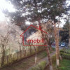 Garsoniera, zona Mc Donalds, et 1/4,  Manastur thumb 3