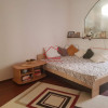 Apartament 1 cameră in Manastur, zona Bucegi thumb 3